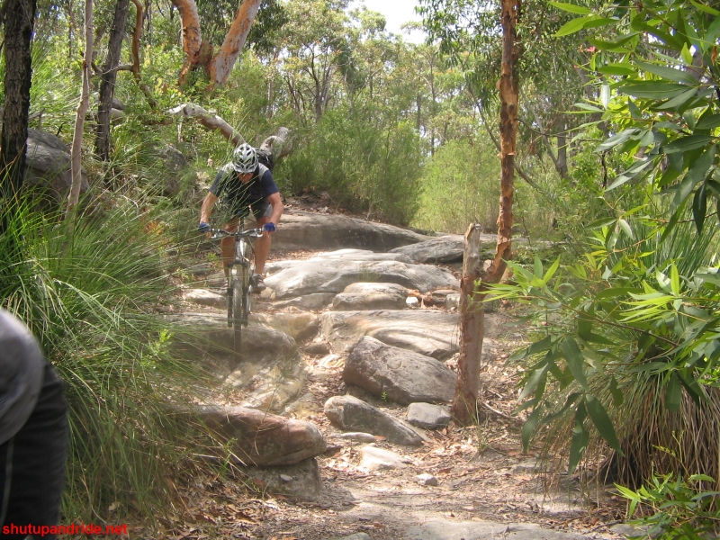 20061210-Lindfield 039 